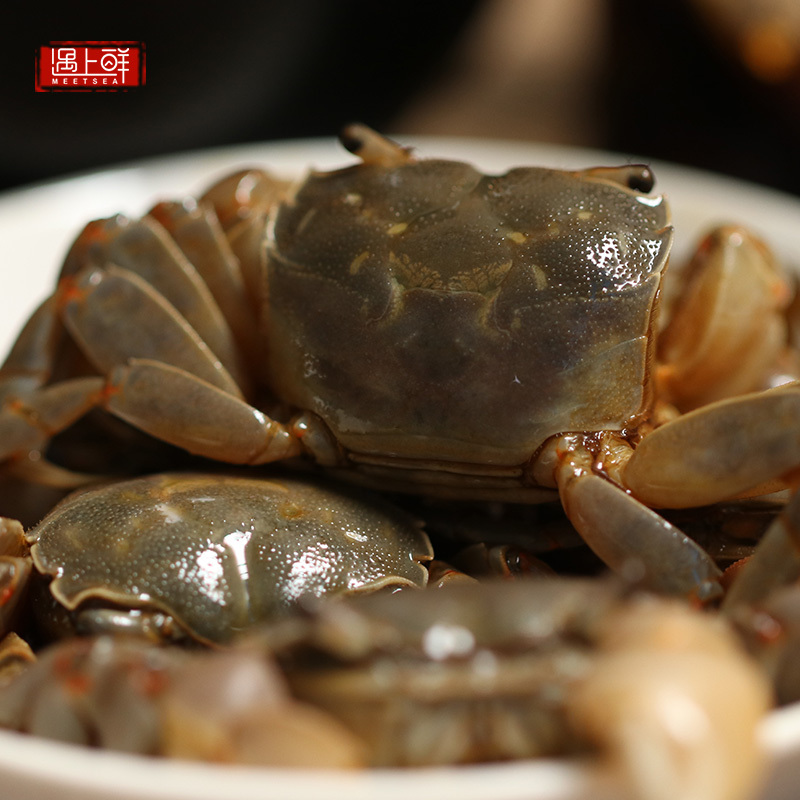 遇上鲜醉蟹醉蟹即食宁波舟山海鲜特产醉毛蟹呛蟹大闸蟹生腌