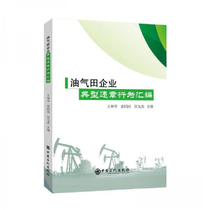 正版新书】油气田企业典型违章行为汇编王和琴 张同国 付云杰9787