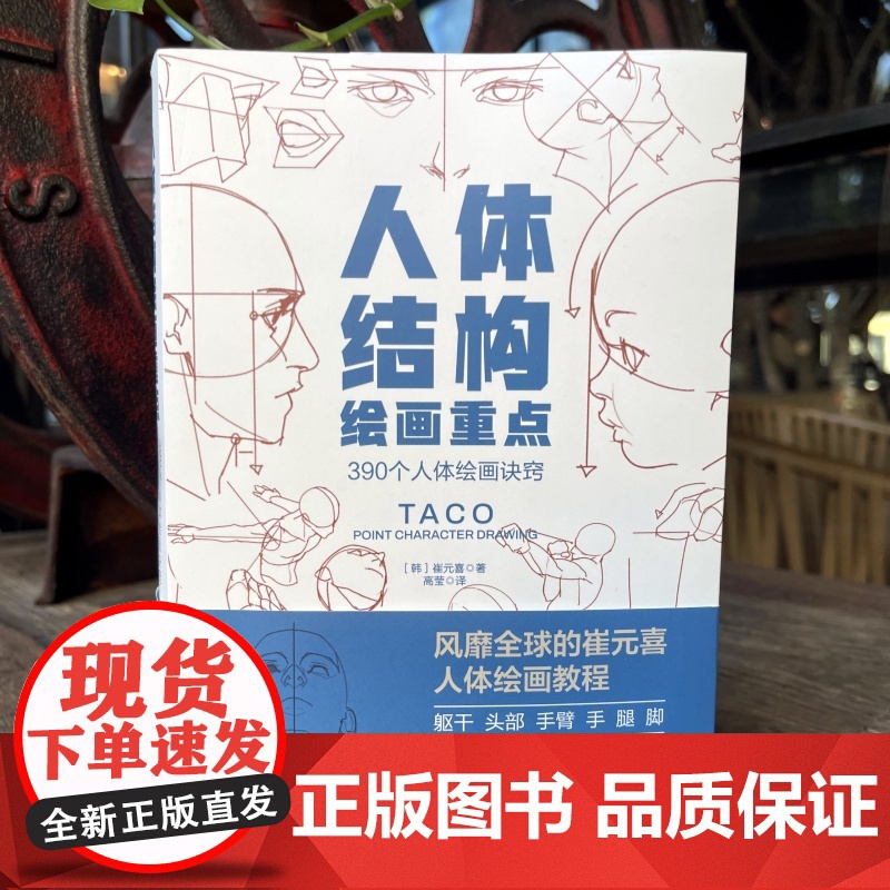[央视网]人体结构绘画重点 全球的TACO 崔元喜 人体结构绘画教程 从头发丝到脚趾结构 彻底讲清人体绘画的难点和易错点高清大图