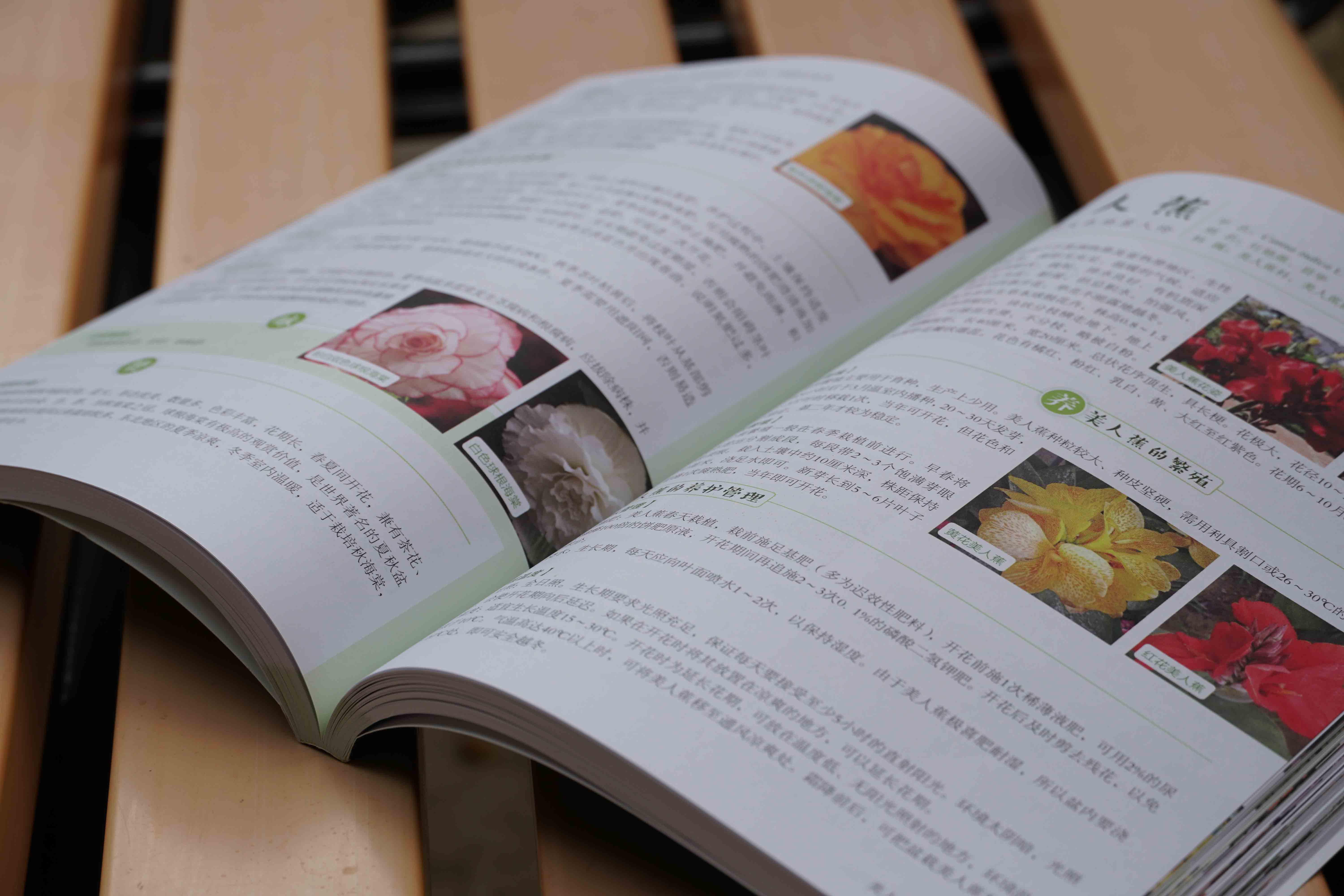 [醉染正版]正版 四季花木养护与赏析 120种花草树木花赏析 花卉培育与鉴赏书籍 常见植物识别与鉴赏 养花书籍园艺花艺师高清大图