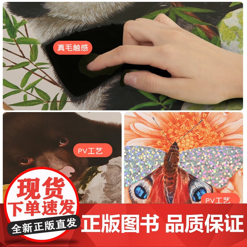 [央视网]摸一摸 谁的尾巴滑溜溜 小手摸摸大自然触摸书 抓住0-3感官敏感期 科学养育聪明宝宝 多重感官助力宝宝全面发展高清大图