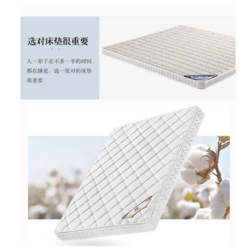 铜林1.2米1.5米1.8米椰棕席梦思床垫棕垫TL-0040