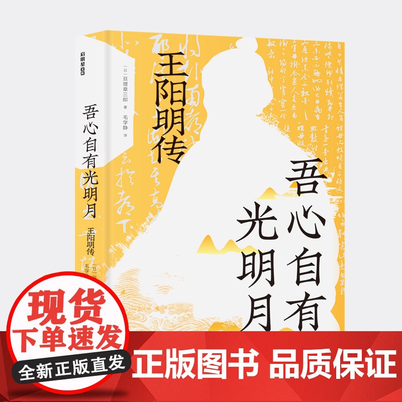 吾心自有光明月 王阳明传 日本阳明学大家亘理章三郎讲述王阳明的一生 稻盛和夫等人崇拜王阳明学说的根本所在 历史人物传记书高清大图