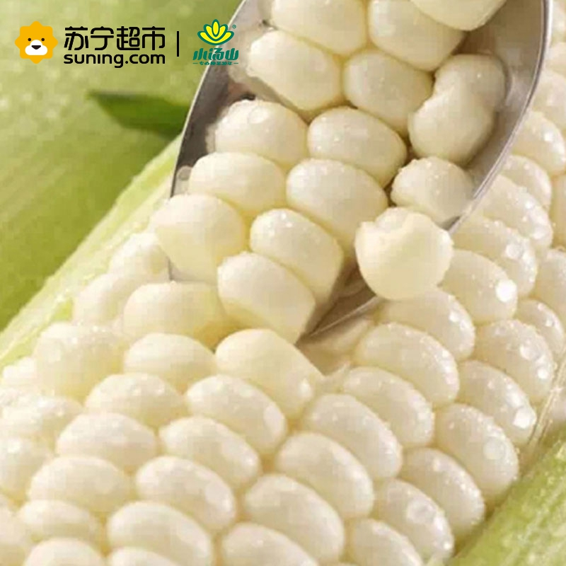 [苏宁生鲜]小汤山 糯玉米 约600g 新鲜蔬菜