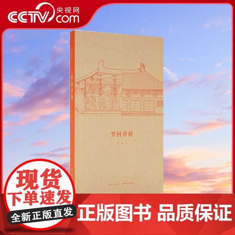 【央视网】读小库王南建筑史诗系列 梦回唐朝 盛唐气派中国古建灿烂巡礼 中国古建筑入门读本木结构建筑帝王宫殿绘画雕刻艺术D