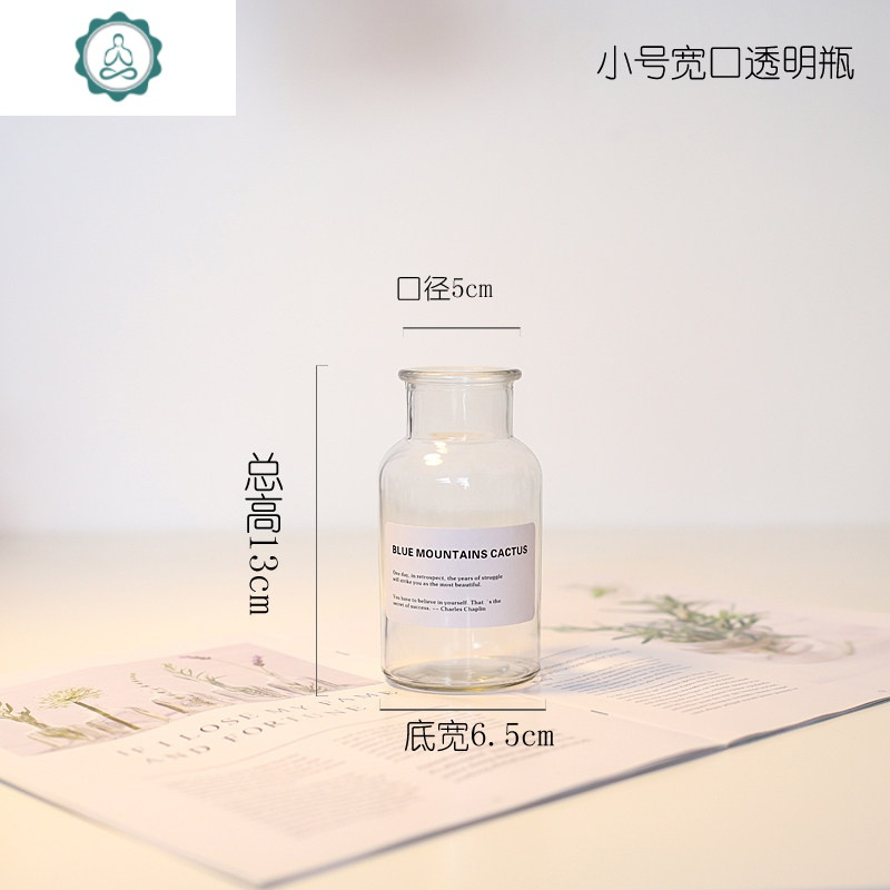 ins北欧风透明茶色玻璃花瓶棕色瓶客厅装饰摆件干花插花水培容器 封后 中号窄口透明瓶