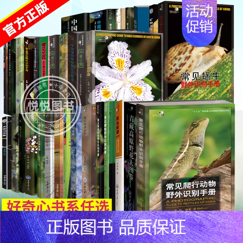 ❤常见两栖动物野外识别手册 【正版】科普书籍好奇心书系野外识别手册常见爬行动物兜锹花臂蜚蠊蜘蛛蘑菇蜗牛蝴蝶昆虫蜻蜓琥珀天