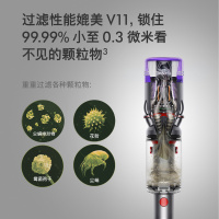 戴森(Dyson)无绳吸尘器 Micro 1.5kg 超轻量吸尘器手持无线手握式 铁镍色 除螨宠物家庭适用 新品