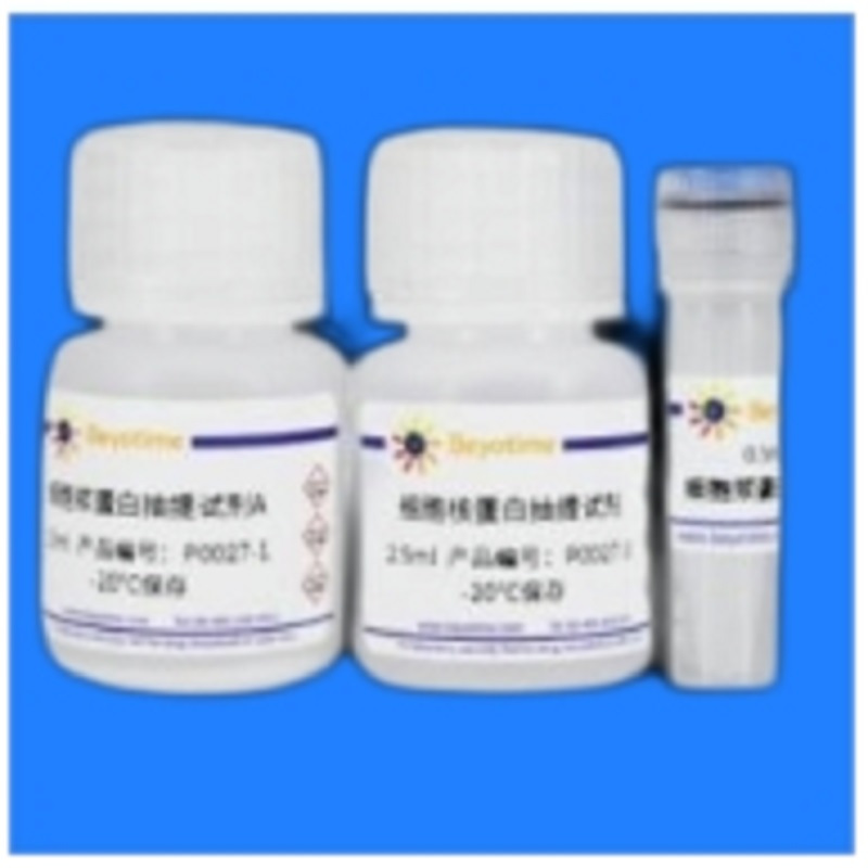 Beyotime RIPA裂解液(强中弱套装) P0013E