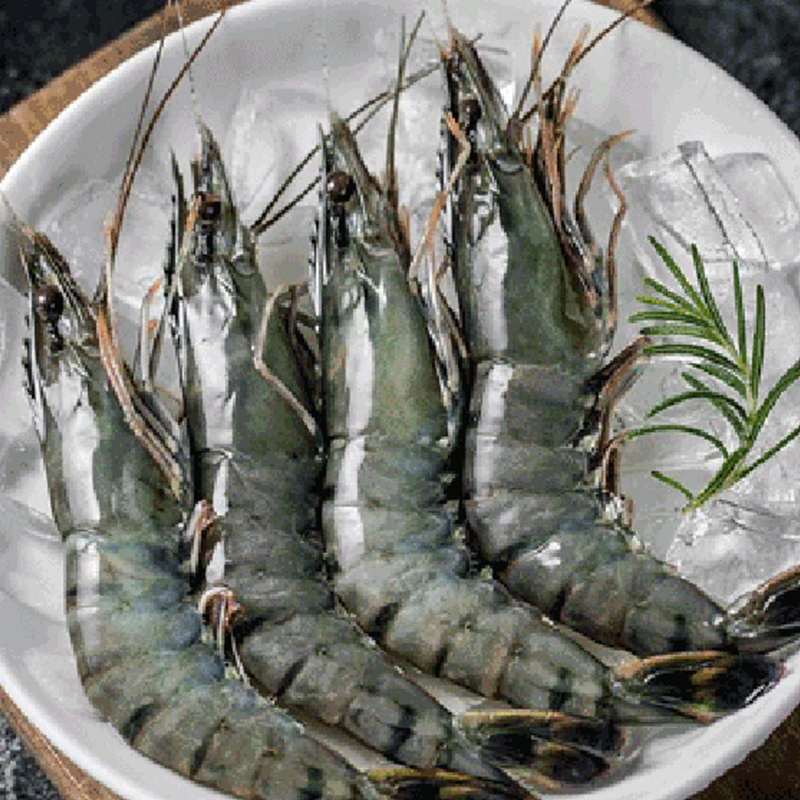 食无竹黑虾1kg盒视频