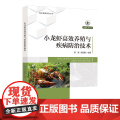 小龙虾高效养殖与疾病防治技术小龙虾养殖与防病，这一本就够