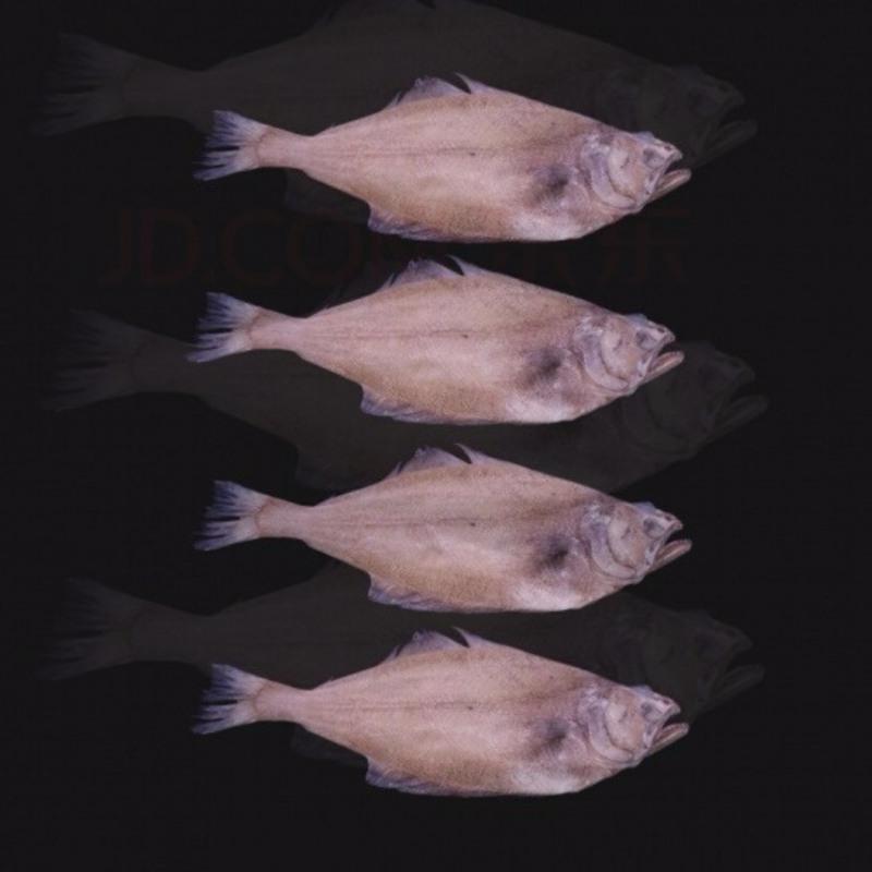 赛卡伊鲽鱼三去鲽鱼深海鲽鱼新鲜海产品鲜活海鲜鲜活速冻发货三斤装 三斤3条 去鳞 去内脏 未去鳃 报价 参数 图片 视频 怎么样 问答 苏宁易购