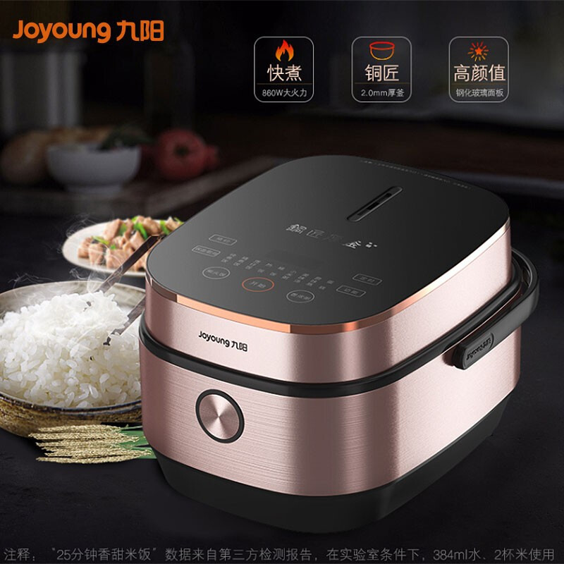 九阳(Joyoung)-电饭煲F-50FY5