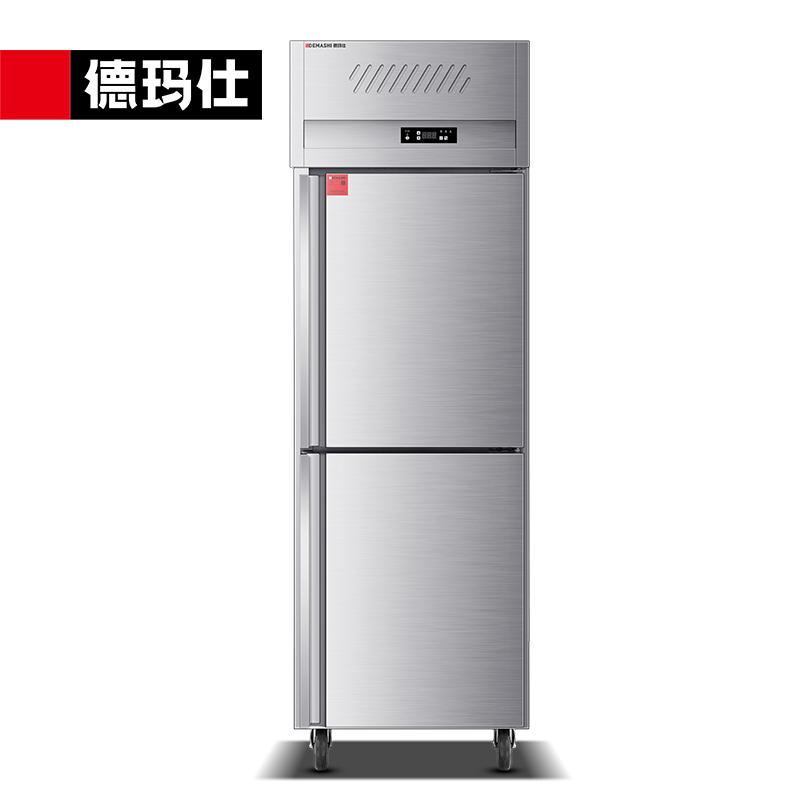 德玛仕(DEMASHI)商用风冷冰柜 厨房髙身雪柜 二封门不锈钢冷藏冷冻保鲜柜 LD0.5L2W 风冷款全冷冻