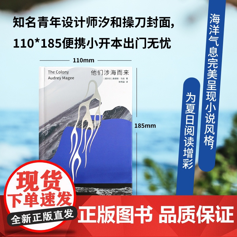 他们涉海而来 爱尔兰奥德丽马吉广西师范大学出版社高清大图