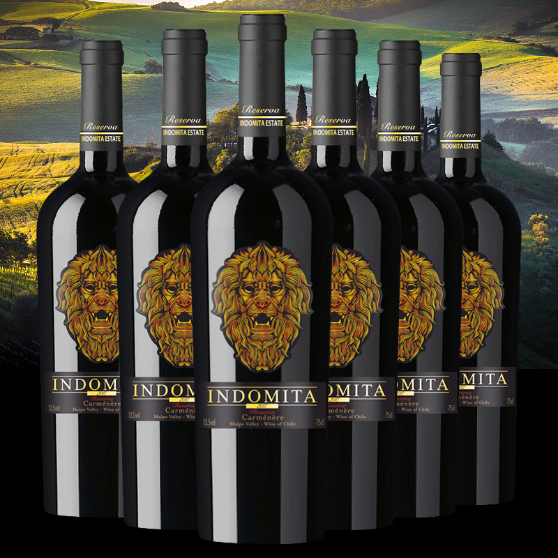 张裕智利原瓶进口红酒 魔狮佳美娜陈酿干红葡萄酒整箱装750ml*6 魔狮酒庄 CHANG