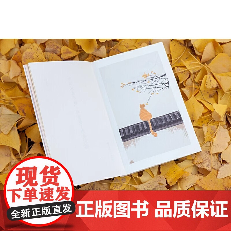 [正版]时间从来不语却回答了所有问题 文学大师季羡林百岁人生智慧精粹 日子不慌不忙我们来日方长糊涂一点潇洒一点游戏人高清大图