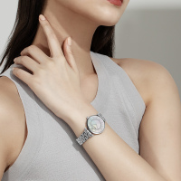 阿玛尼（Emporio Armani)满天星手表摩天轮 钢质表带经典时尚休闲女士石英表腕表 AR1908