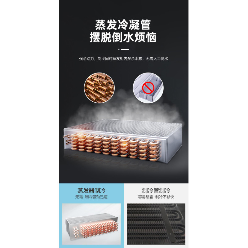 大海豚(Large Dolphin) 单门冷藏保鲜柜食品留样柜食堂家用商品展示