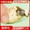 宠尚天可孵化乌龟蛋中华草龟蛋巴西龟活物小宠物龟受精蛋花龟鳄龟 可孵化草龟蛋1个