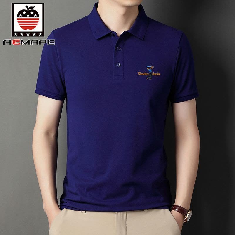 爱曼普新款男士半袖体恤衫男刺绣高级棉T恤男抗皱透气POLO衫男潮图片