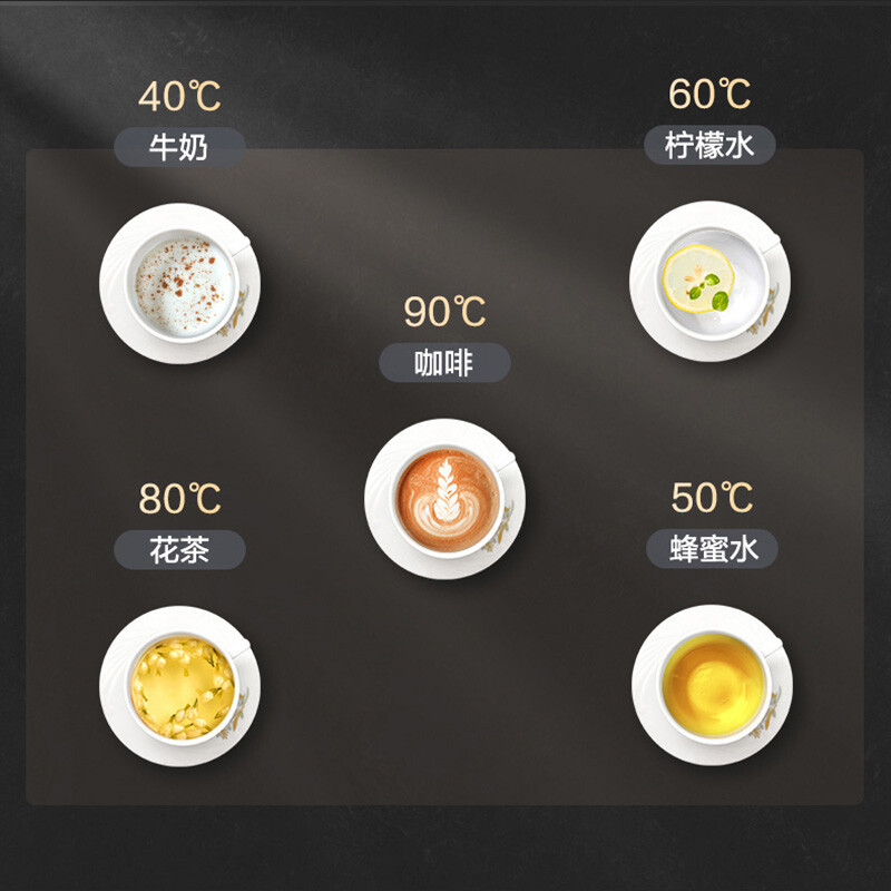 苏泊尔(SUPOR)养生壶家用多功能316L不锈钢全自动泡茶煮茶器花茶壶电茶壶SW-15YJ32