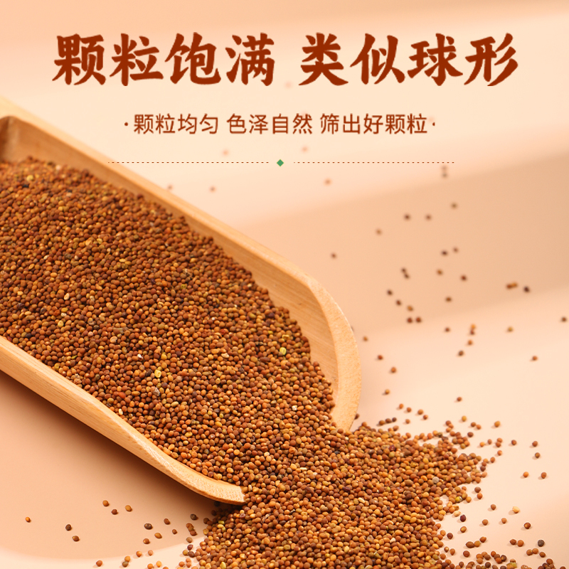 北京同仁堂菟丝子 155g 吐丝子 男性滋补泡酒料泡水 养生泡饮代用茶官方正品高清大图