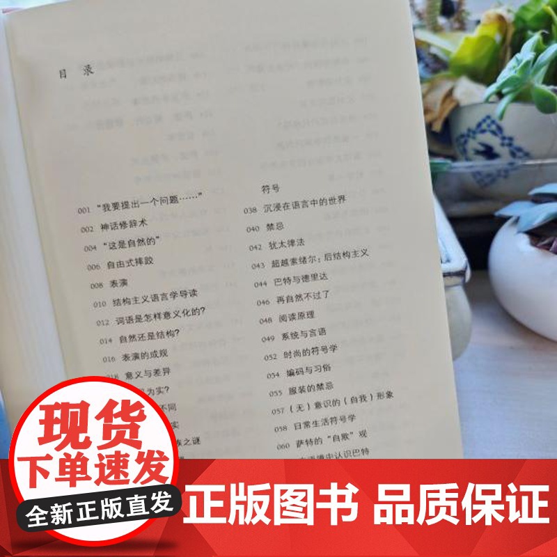 罗兰巴特 图画通识丛书 第五辑 走进罗兰·巴特的奇妙世界 三联书店店高清大图