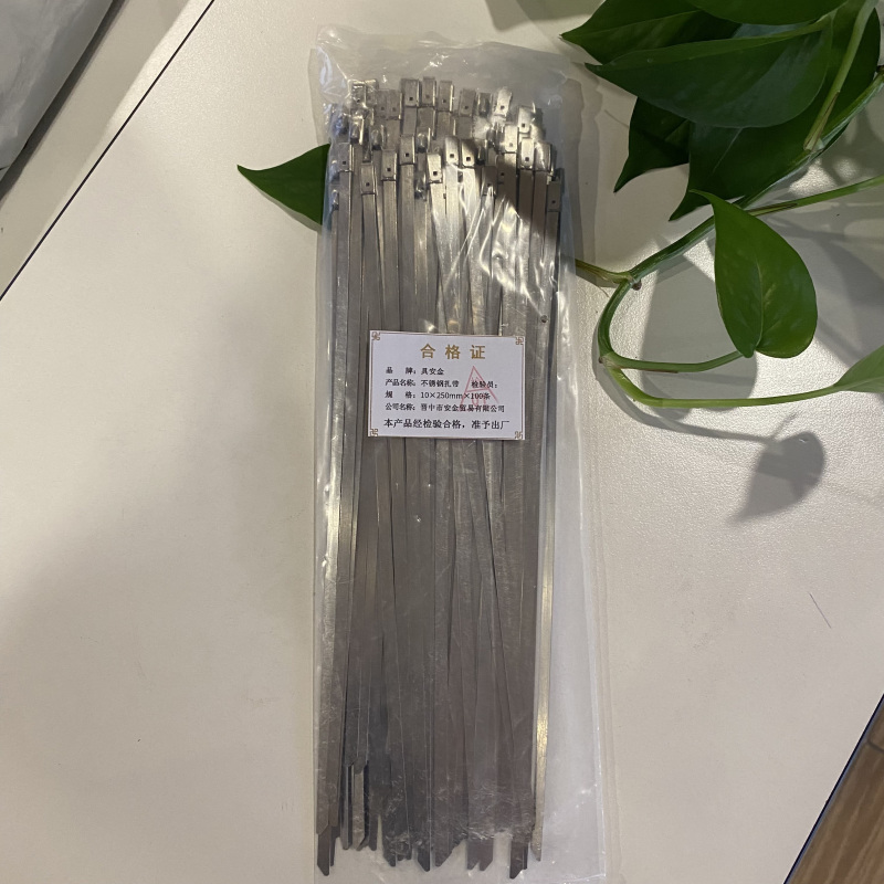 具安金 不锈钢扎带 10*250mm*100条 包