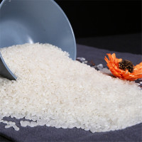 音河大米20斤 珍珠米粳米圆粒 10kg 正宗东北大米 (非真空)首农