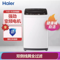海尔(Haier)变频波轮洗衣机全自动 智能称重量衣进水 健康桶自洁 9KG大容量 EB90BM029