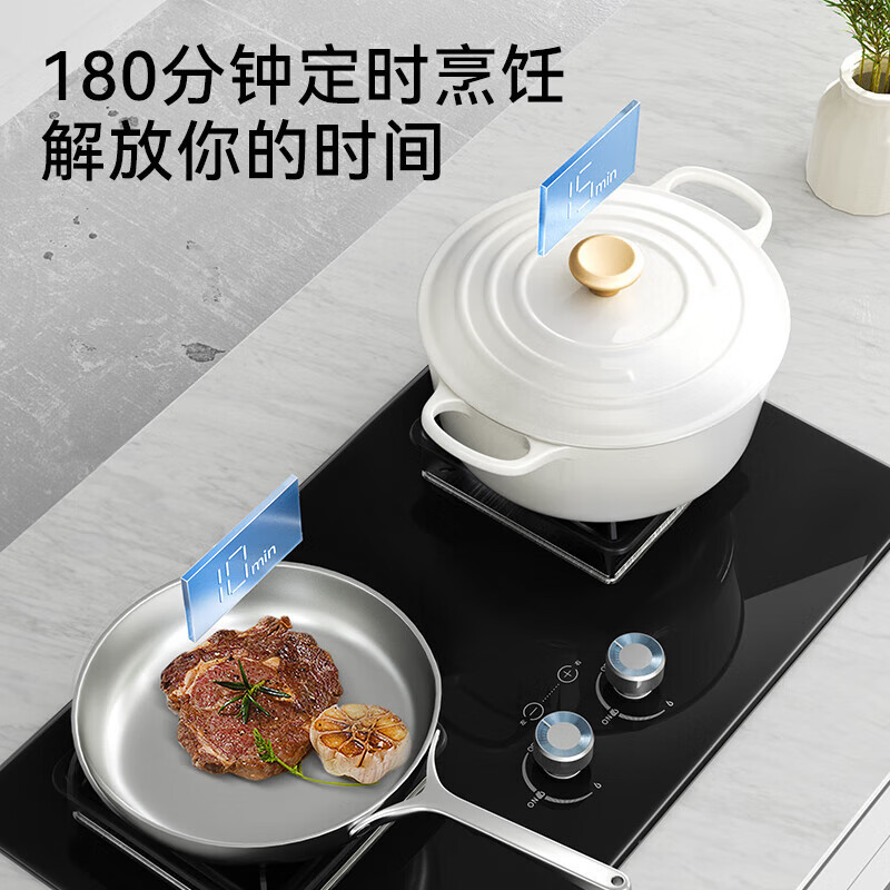 欧派燃气灶5.2kw猛火灶XZF101液化气 鸳鸯九腔-双灶定时液化气高清大图