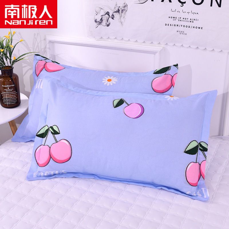 枕头套一对装48x74成人枕芯套学生枕套大号枕头罩春夏秋冬季