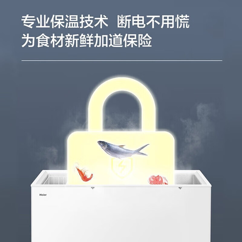 海尔(Haier)冰柜家用商用365L大容量双温冰柜冷藏冷冻双温双箱冷柜卧式雪柜电冰箱FCD-365HA 大冷藏+冷冻