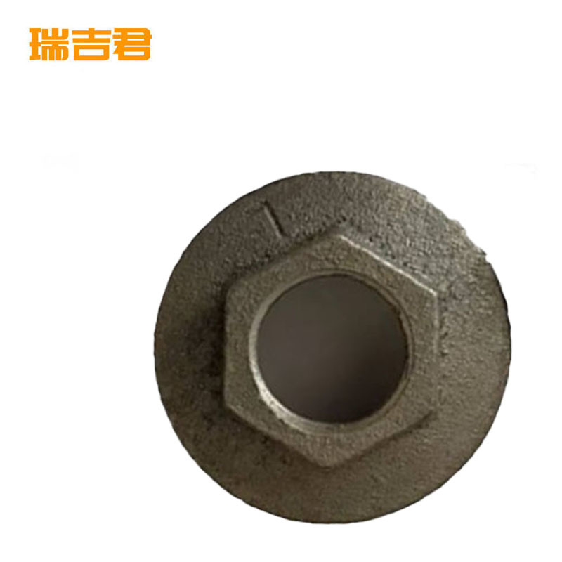 瑞吉君 暖气片补芯 DN40变6分反丝 个