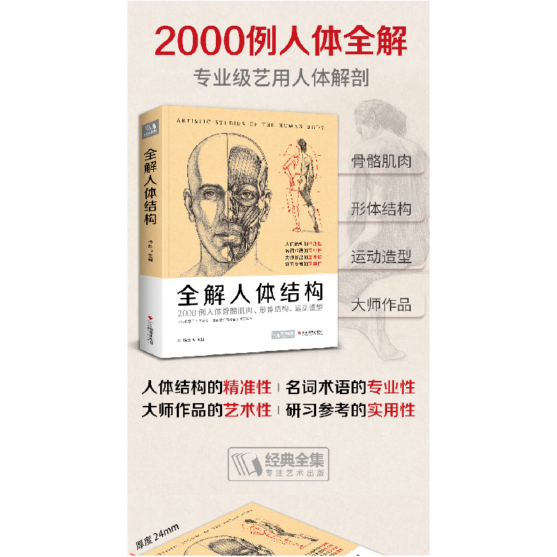 正版新书]全解人体结构杨建飞 编9787551427623高清大图