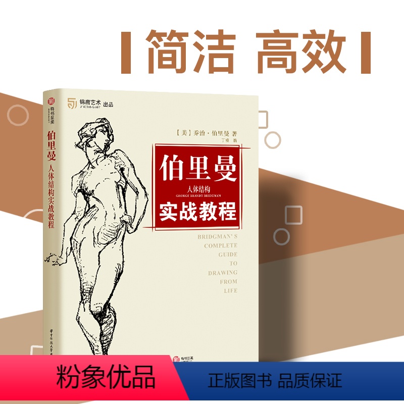 [正版]伯里曼人体结构实战教程 人体素描基础 人物速写线描 素描技法绘画教学解剖 美术书