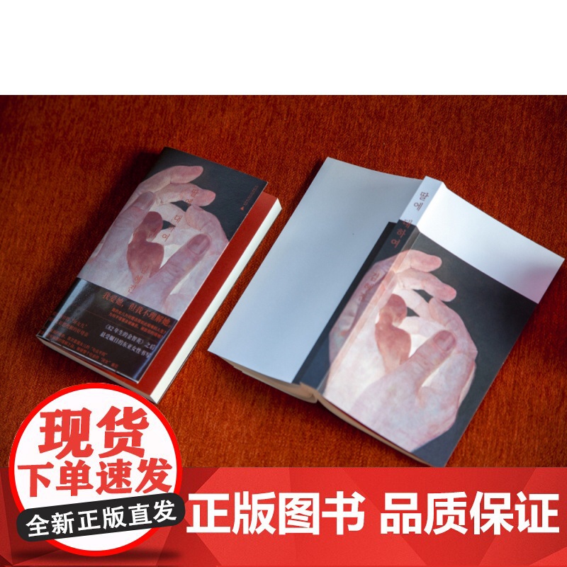 关于女儿 金惠珍著 继“82年生的金智英”之后 再次掀起韩国女性文学阅读与讨论的新热潮外国小说书籍高清大图