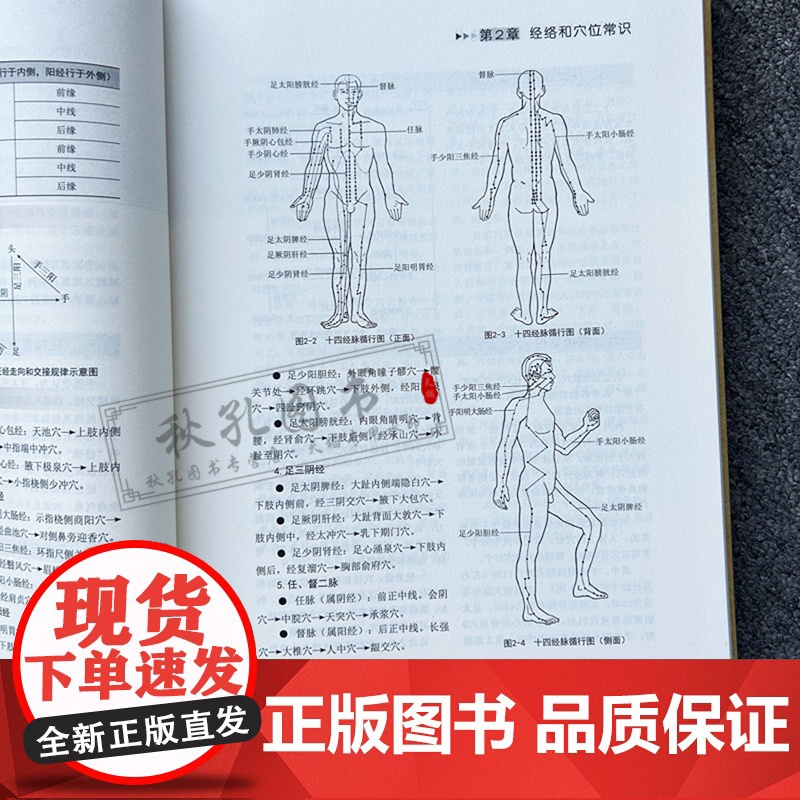 中医点穴按摩九大绝技 典藏版 杨树文秘传九种练功点穴运气方法 按摩催眠美容减肥术 中医养生保健拔罐刮痧推拿按摩培训参考教高清大图