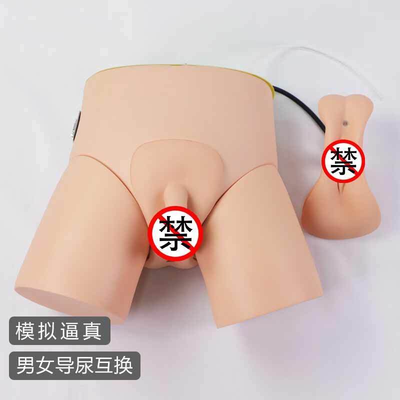 医学教学模型