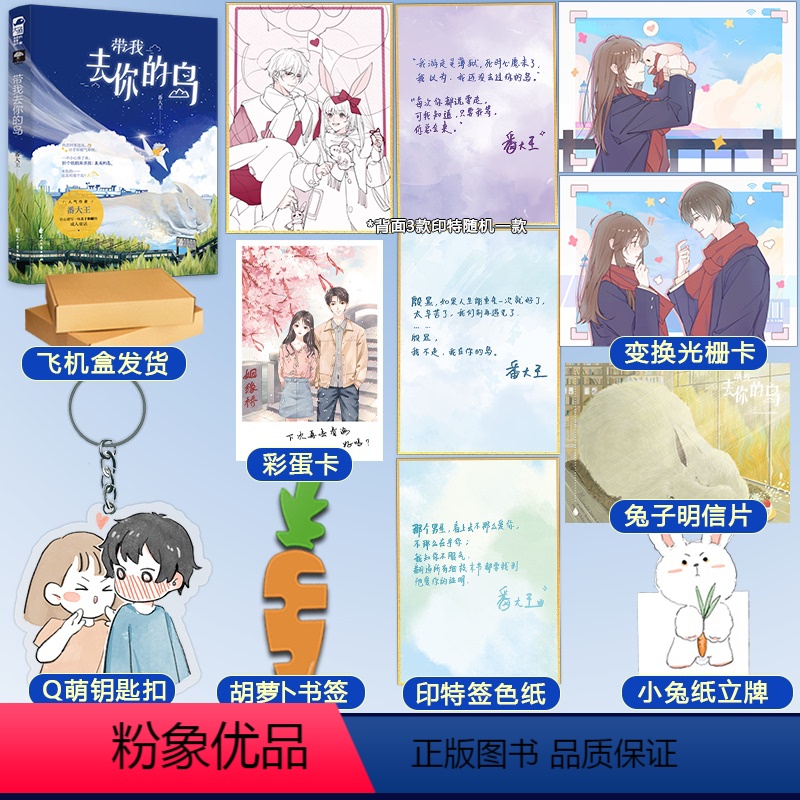 【正版】 带我去你的岛 番大王 1本完结+番外 青春文学校园爱情甜宠言情小说 去 你 的 岛 天宇图书小说