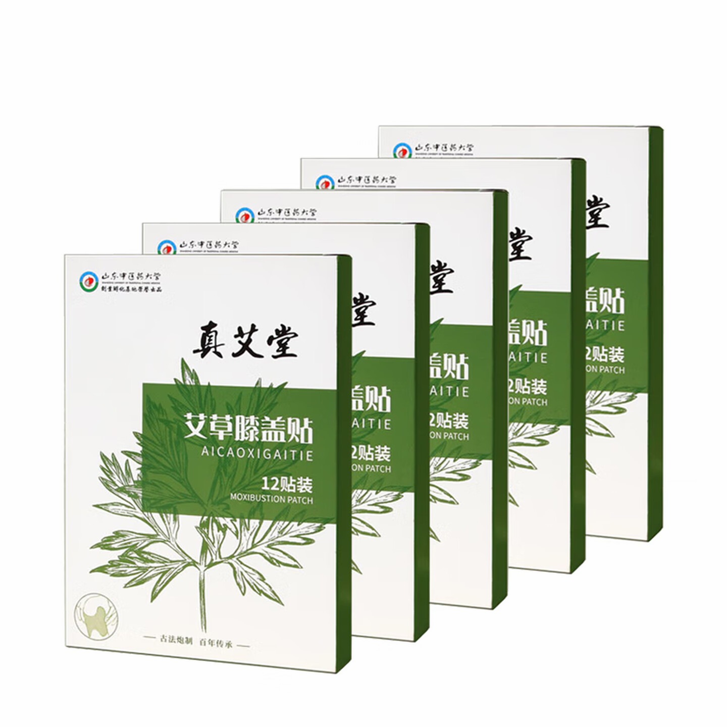 真艾堂|灼粹养生艾礼 艾草膝盖贴12贴/盒【五盒装】,货号048-5