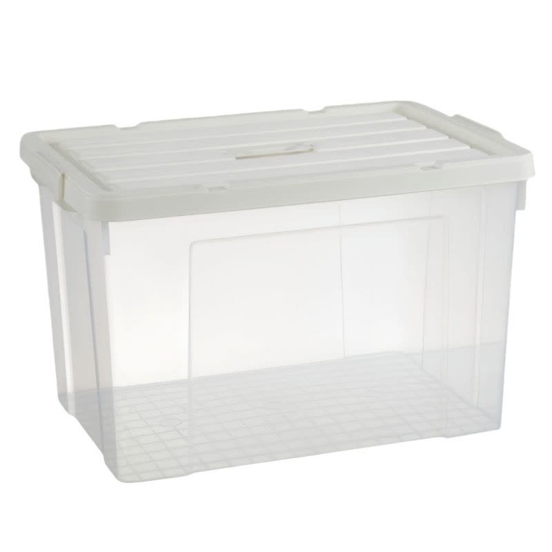 铁洋 整理收纳箱 30L(41.7cm*29.5cm*24.8cm) 个图片