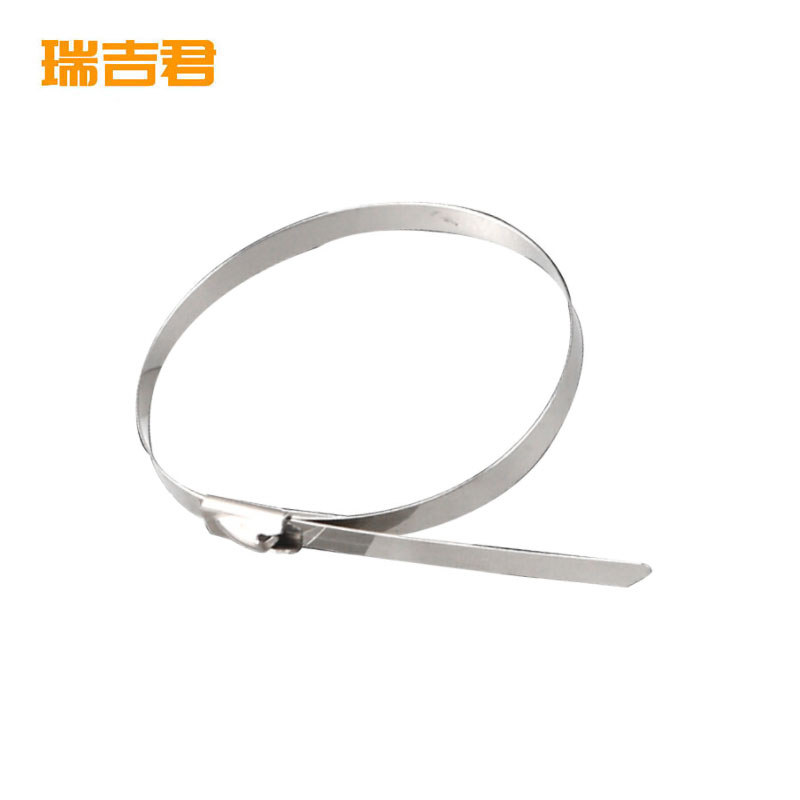 瑞吉君 304不锈钢扎带 12*800mm 50支 包高清大图