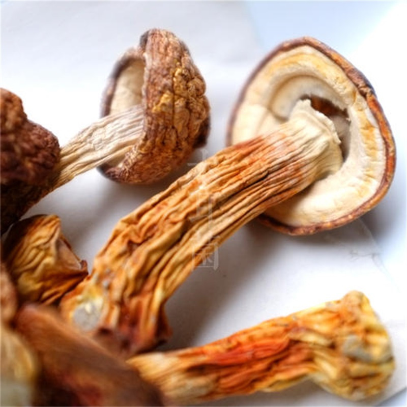 珍珠菌 80克