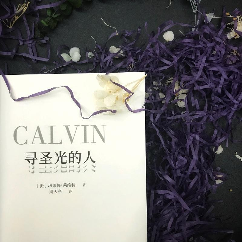 正版新书]寻圣光的人(美)玛蒂娜·莱维特 著 周天亮 译9787513921高清大图