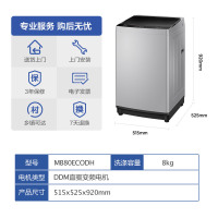美的8公斤变频小型波轮洗衣机全自动家用宿舍洗脱一体 智利灰