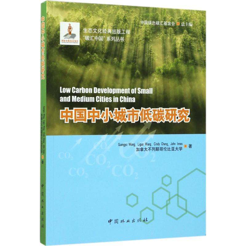 正版新书]中国中小城市低碳研究王光玉9787503889615高清大图