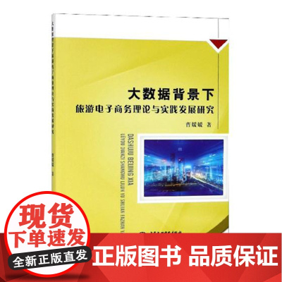 正版直发】大数据背景下旅游电子商务理论与实践发展研究/计算机与互 
