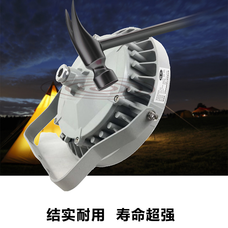 尚关(SHANGGUAN) 泛光平台灯SQ-Z26 AC220V LED 100W